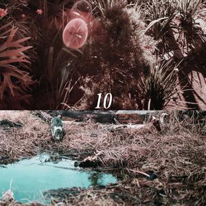 9久热精品免费观看视频
