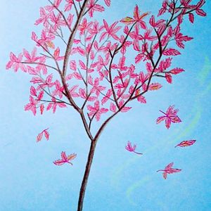 9久热精品免费观看视频
